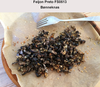 Feijon Preto FS0513, Bønneknas