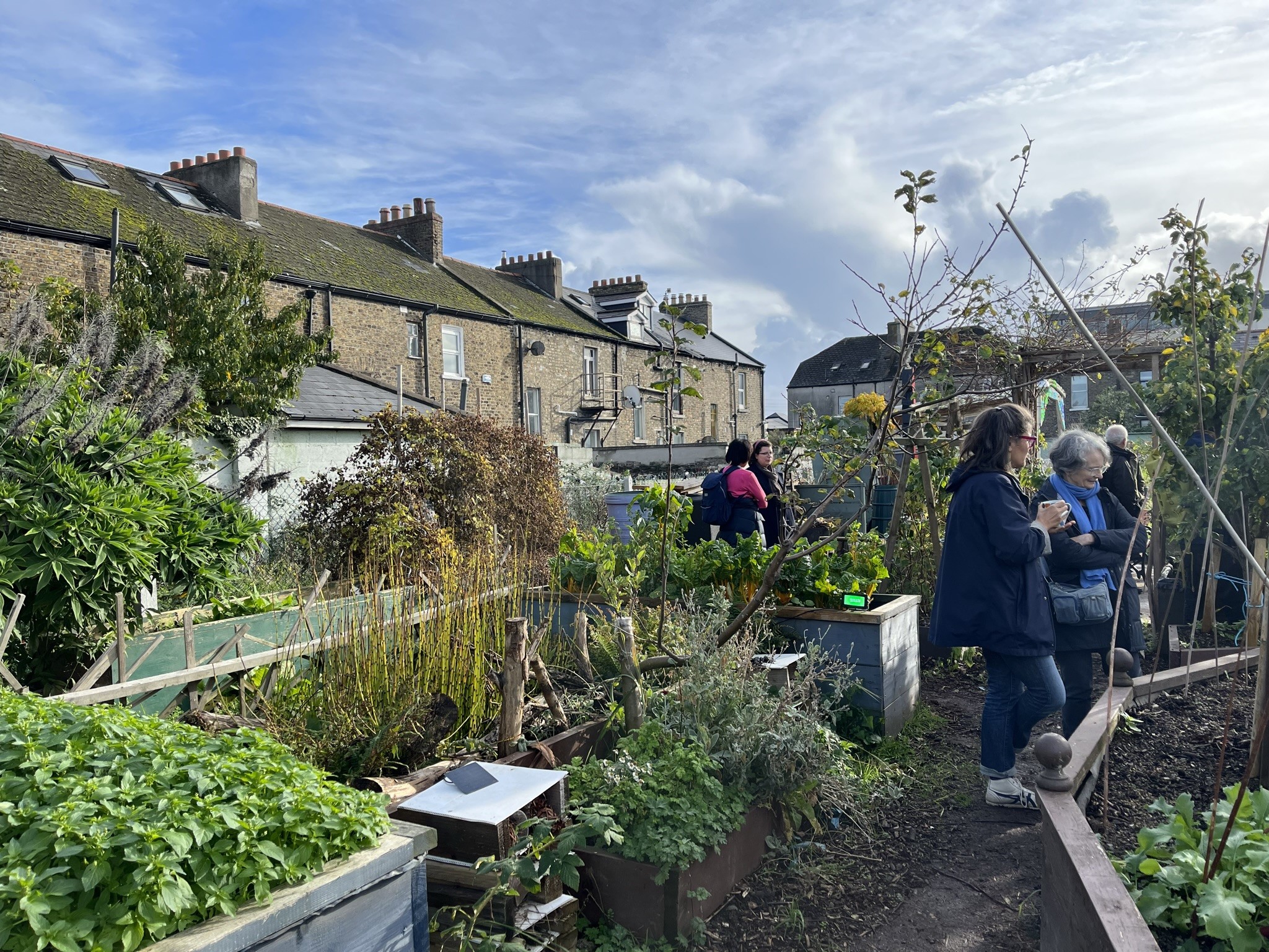 Communitygarden i Dublin